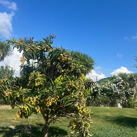 The Mansion Of Dionisos And Dimitras 2 * أولمبيا