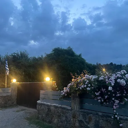 The Mansion Of Dionisos And Dimitras 2 奥林匹亚