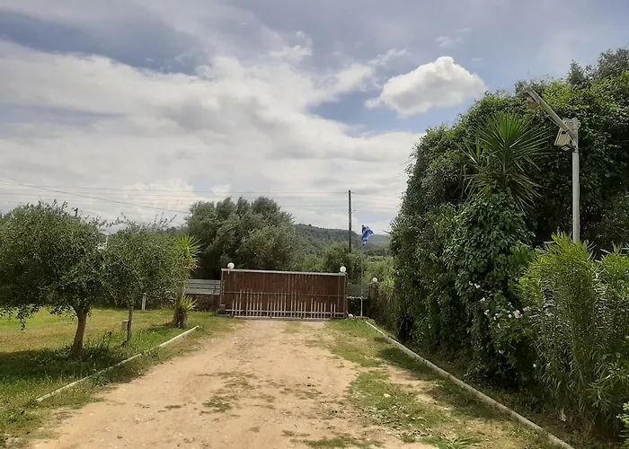 The Mansion Of Dionisos And Dimitras 2 * Olympie