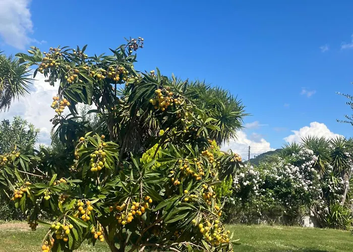 The Mansion Of Dionisos And Dimitras 2 * Olimpia